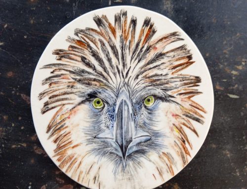 Águila filipina