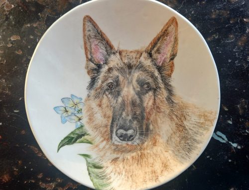 Serie «Retratos de mascotas».