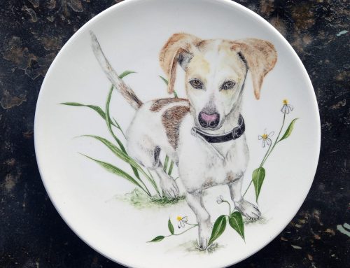 Serie «Retratos de mascotas».