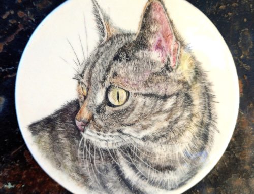 Serie «Retratos de mascotas».