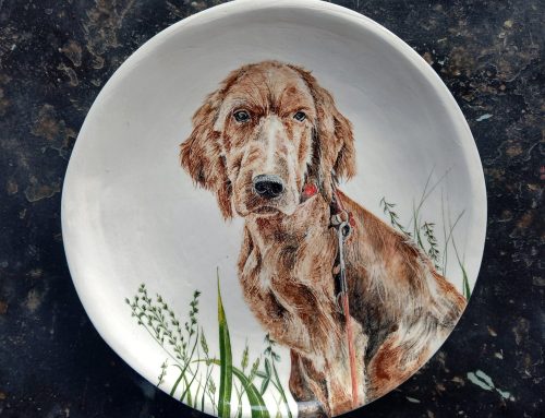 Serie «Retratos de mascotas».