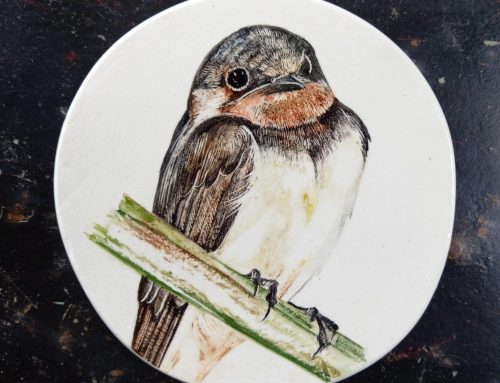 Golondrina